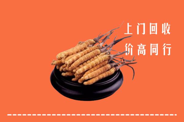 收购行情：安庆潜山市回收散虫草