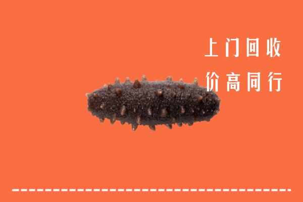 安庆潜山市回收海参